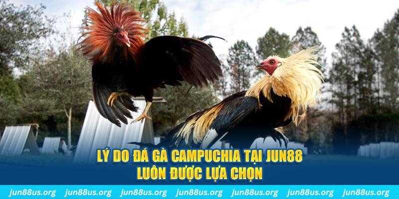 qq66 tài xỉu nổ hũ là gì