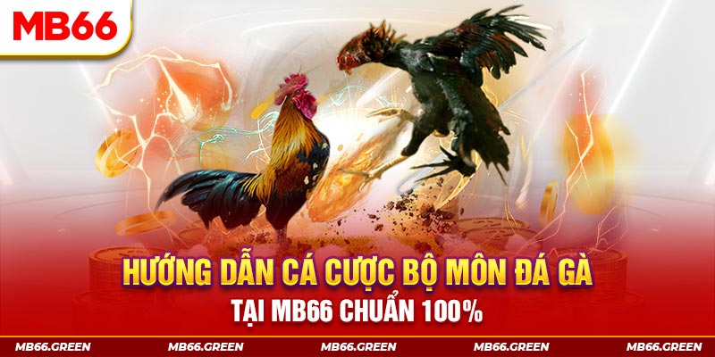 qq66 xổ số bình định