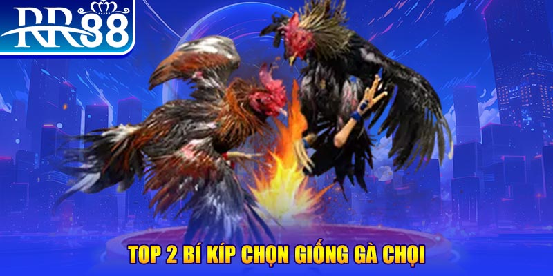 qq66 đăng nhập poker số 1