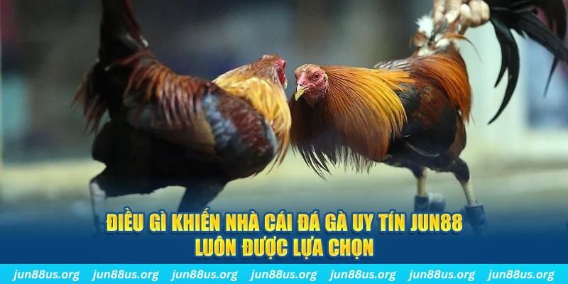 qq66 qq88 nổ hũ bắn cá