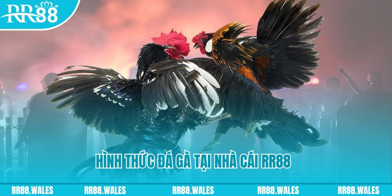 qq66 xin 1 slot là gì