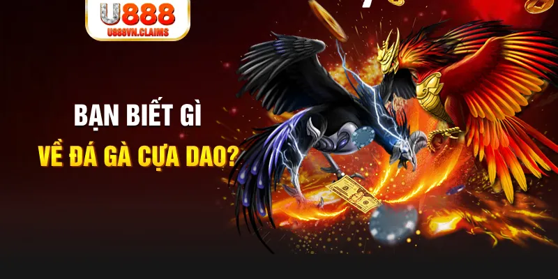 qq66 xổ số kiến thiết