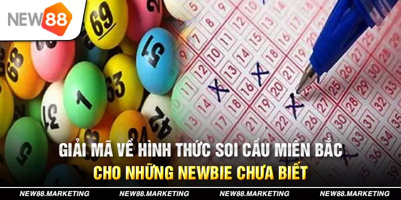 qq66 đăng nhập mậu binh live