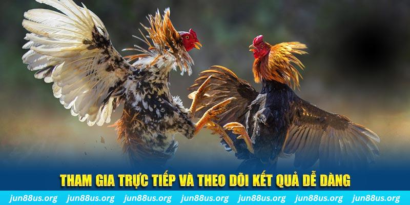 qq66 đá gà trực tiếp bình luận viên