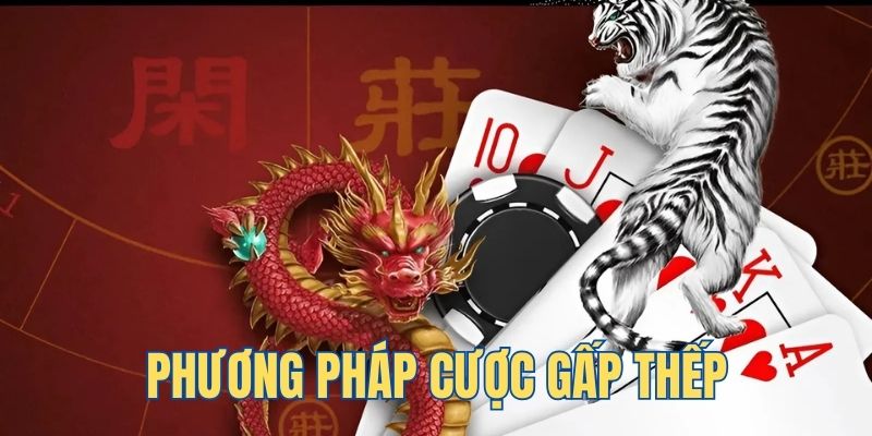 qq66 ga choi