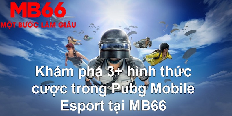 qq66 so xo