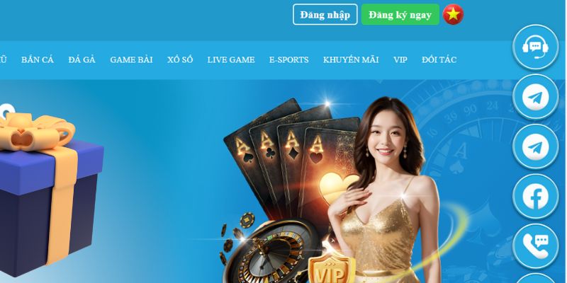 qq66 slot là gì dịch