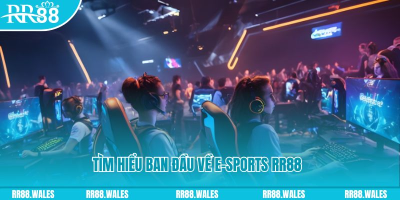 qq66 Đĩa màu ace