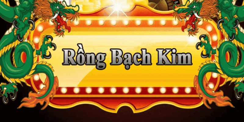 qq66 đăng nhập roulette 2025