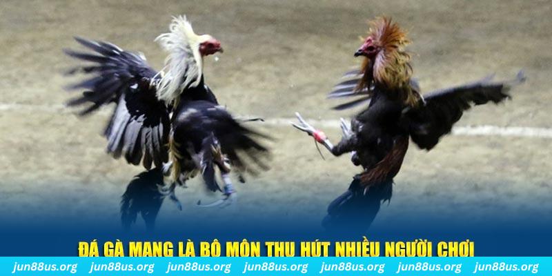 qq66 xổ số cà mau