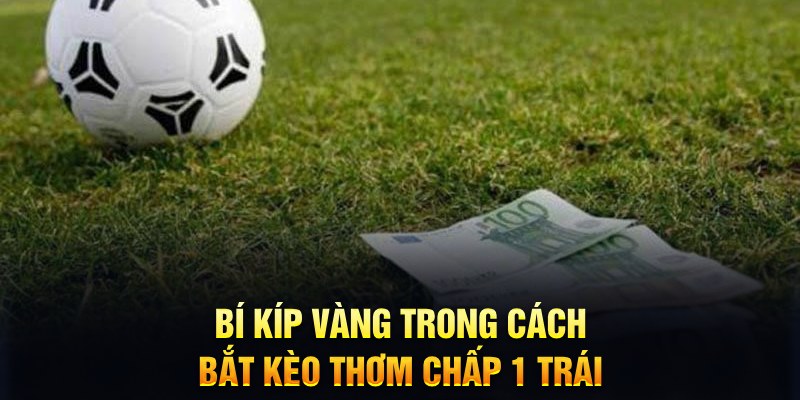 qq66 đăng nhập mậu binh mới nhất
