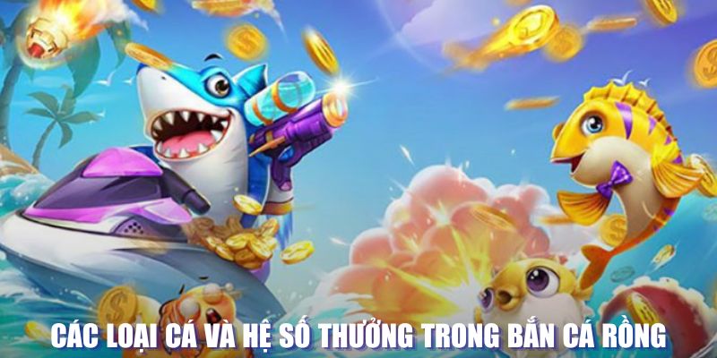 qq66 loi game dot kich ket noi may chu that bai