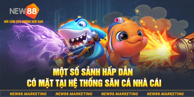 qq66 đăng nhập sòng bạc 2025