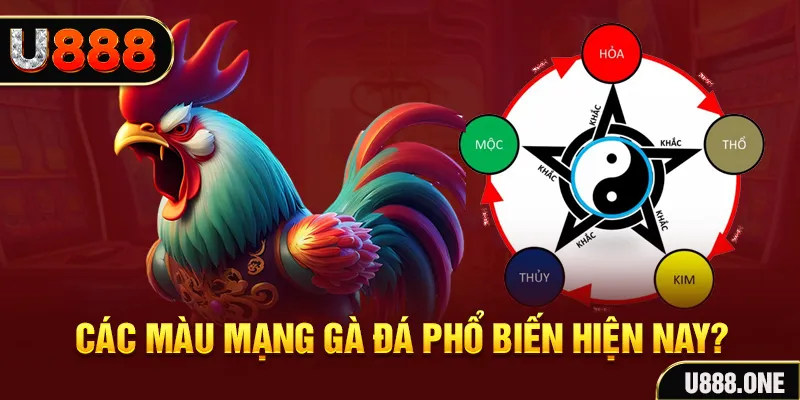 qq66 đăng nhập mậu binh