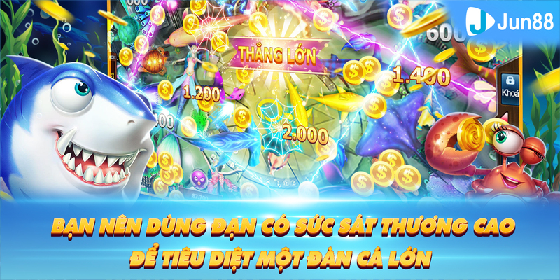 qq66 Tung Đồng Xu