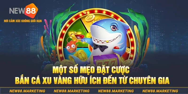 qq66 Tài Xỉu