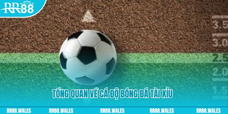 qq66 đăng nhập lô đề online
