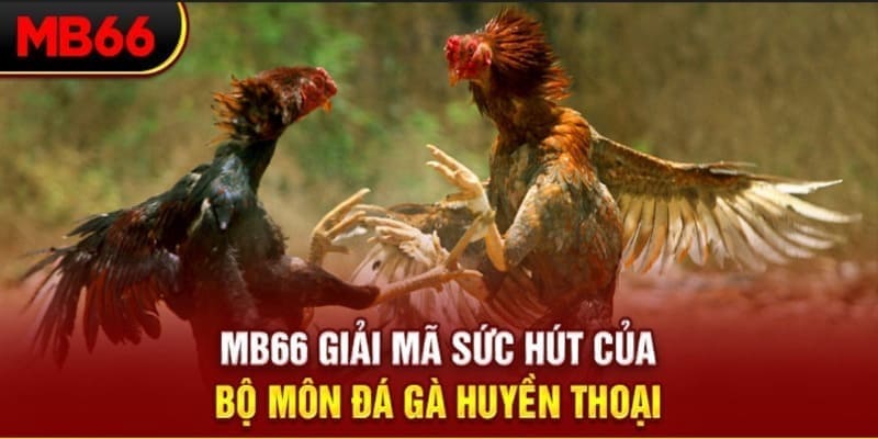 qq66 Phi Đội Ưu Tú