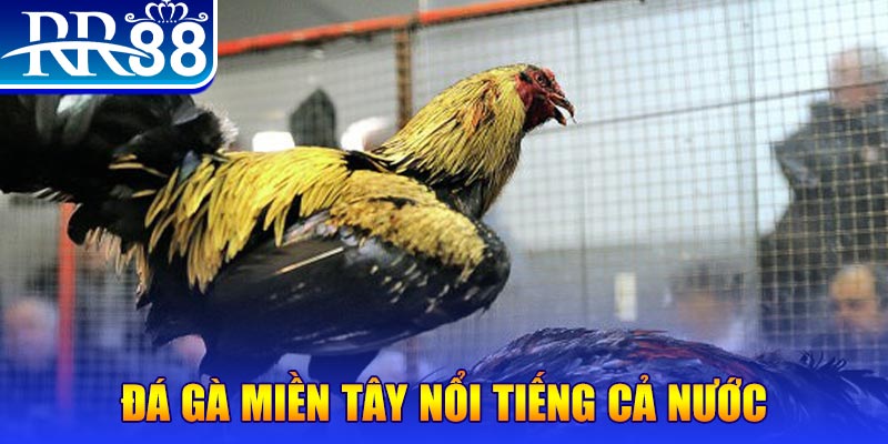 qq66 xo so hom nay