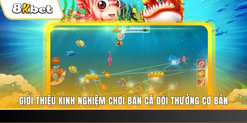 qq66 xổ số miền bắc thứ năm hàng tuần