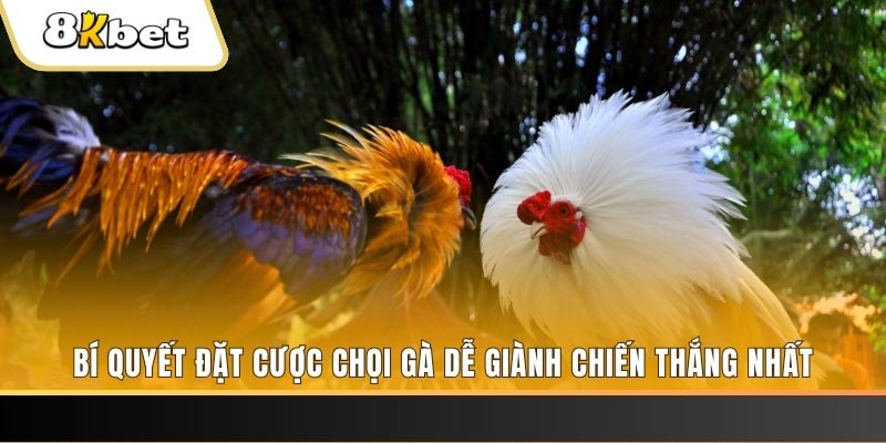 qq66 Tài Xỉu 2