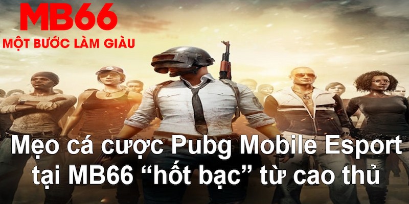 qq66 gà chọi mộc hóa