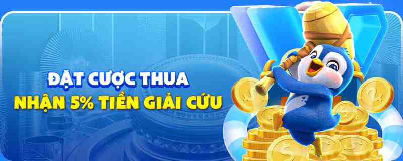 qq66 gà chọi cu cần