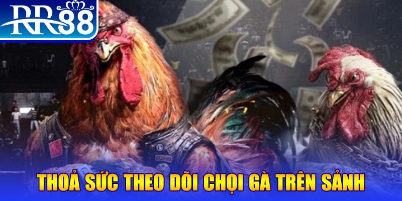 qq66 đá gà 88.com