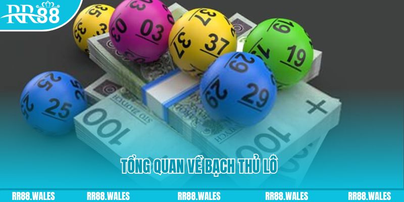 qq66 Blackjack