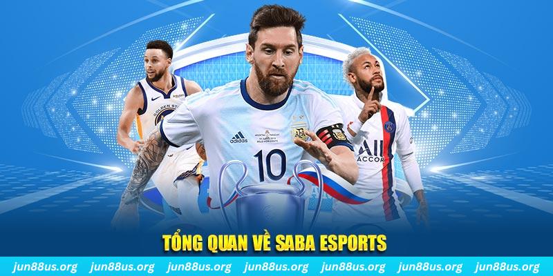 qq66 gà chọi c1 tv trực tiếp hôm nay